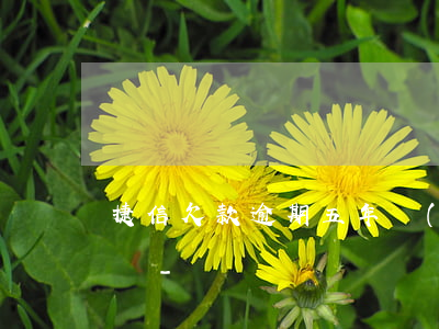 捷信欠款逾期五年現(xiàn)在叫我給錢-