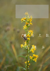 捷信欠款逾期还完征信多久会好-捷信逾期还清后征信多久会消失记录