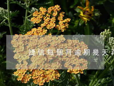 捷信每個月逾期幾天再還