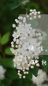 捷信沒有逾期怎么加我一半利息-捷信沒逾期能協(xié)商還本金有成功的嗎