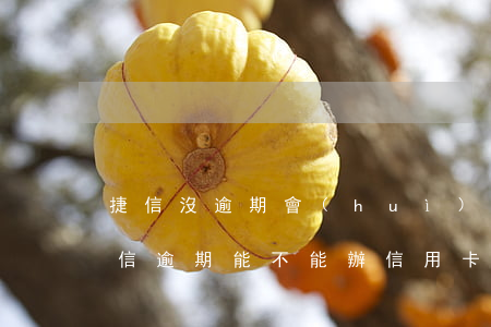 捷信沒逾期會(huì)影響辦理信用卡 捷信逾期能不能辦信用卡