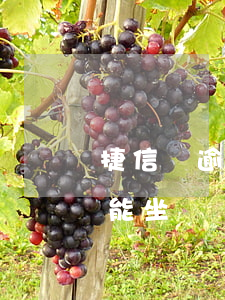 捷信沒逾期能做飛機(jī)嗎(捷信拉黑了能坐飛機(jī)嗎)