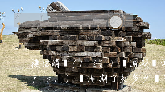 捷信消費(fèi)貸逾期兩年(捷信消費(fèi)貸逾期了,欠多少錢可以會(huì)坐牢)