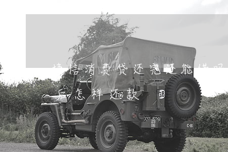 捷信消费贷还完还能借吗（捷信消费金融逾期后怎样还款）