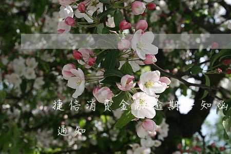 捷信消费金融逾期告知函(捷信金融催款信息通知)