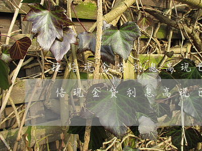 捷信现金贷利息高现已无力偿还怎么办-捷信现金贷利息高现已无力偿还怎么办