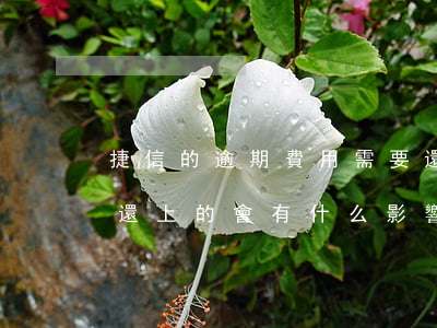 捷信的逾期費用需要還嗎(捷信逾期一個小時還上的,會有什么影響嗎)