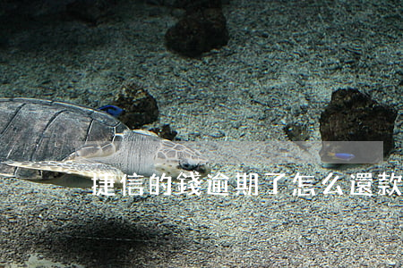 捷信的錢逾期了怎么還款