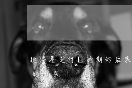 捷信看支付寶逾期的后果(捷信看支付寶逾期的后果)