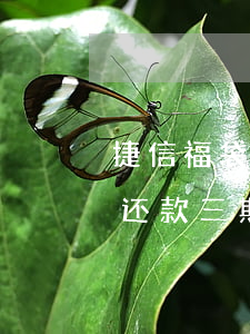 捷信福袋还款三期可以再申请吗-捷信福袋还款三期可以再申请吗安全吗