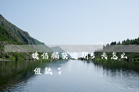 捷信福袋逾期5天怎么辦(捷信這幾天怎么不催款了)