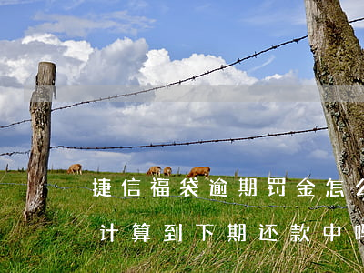 捷信福袋逾期罚金怎么算(捷信逾期的罚息是计算到下期还款中吗)