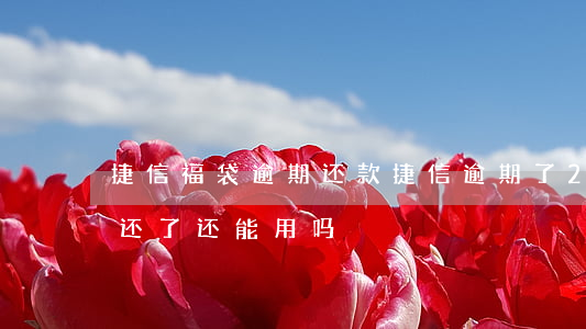 捷信福袋逾期还款(捷信逾期了2个月然后都还了还能用吗)