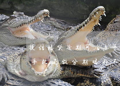 捷信福贷逾期可以办手机分期吗 捷信分期过手机,还能分期吗?好不好通过