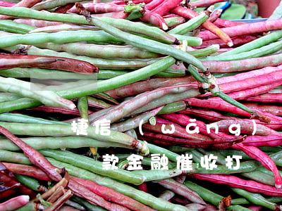 捷信網(wǎng)貸上門催收合法嗎(捷信貸款金融催收打電話說找上門合法嗎)