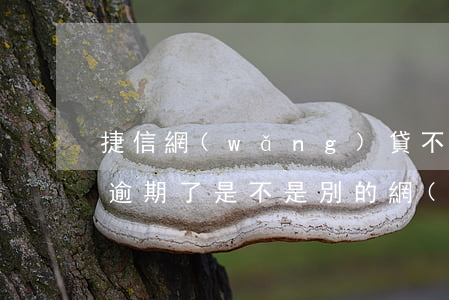捷信網(wǎng)貸不還會不會上門(捷信逾期了是不是別的網(wǎng)貸都下不來了)