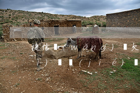 捷信網(wǎng)貸欠一千塊錢會(huì)凍結(jié)資產(chǎn)嗎(捷信欠款2萬多,一二年沒還了,現(xiàn)在說凍結(jié)帳號(hào),是真的嗎)