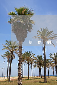 捷信網(wǎng)貸欠多少錢(qián)夠判刑的(網(wǎng)貸捷信欠債不還錢(qián)金額達(dá)到多少可以起訴)