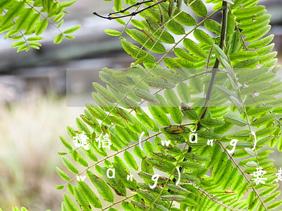 捷信網(wǎng)貸說要起訴我(捷信網(wǎng)貸說要起訴我什么意思)