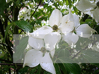 捷信網(wǎng)貸逾期可以凍結(jié)微信劃扣嗎(捷信網(wǎng)貸逾期可以凍結(jié)微信劃扣嗎)