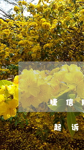 捷信网袋逾期多久会被起诉-网袋逾期会被起诉吗