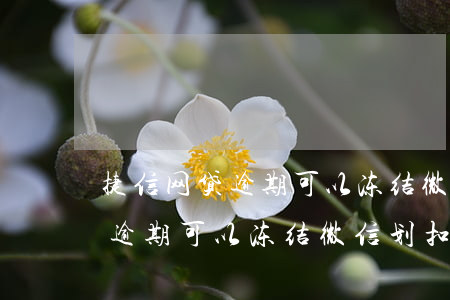 捷信网贷逾期可以冻结微信划扣吗(捷信网贷逾期可以冻结微信划扣吗)