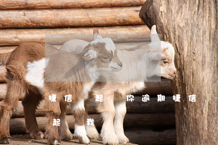 捷信說起訴你（逾期捷信說準(zhǔn)備起訴我）