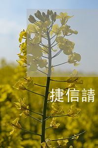捷信請(qǐng)律師找我