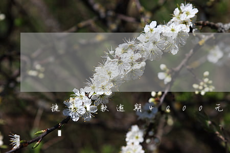 捷信貨款逾期4000元會(huì)起訴嗎