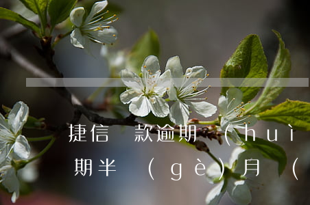 捷信貨款逾期會(huì)上征信嗎(捷信逾期半個(gè)月會(huì)上征信失信名單嗎?)