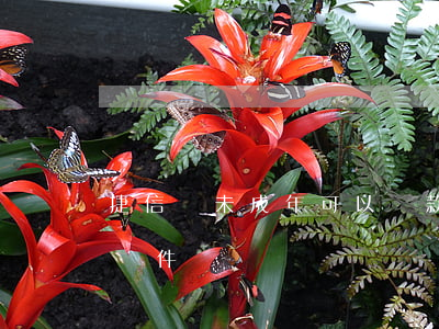 捷信貸未成年可以貸款嗎(未成年貸款成功的軟件)