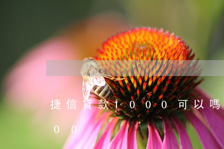捷信貸款1000可以嗎(捷信小額貸款1500)