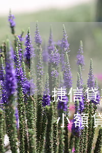 捷信貸款1001無標(biāo)題(捷信小額貸款500)