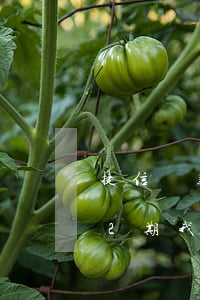 捷信貸款10期變12期(捷信貸款1萬分12期,我每期需要還好多?)