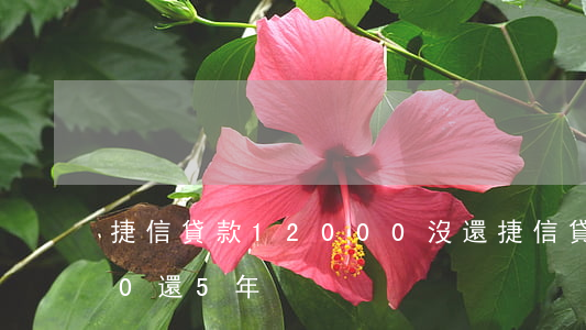 捷信貸款12000沒還(捷信貸款70000還5年)