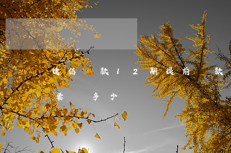 捷信貸款12期提前還款(捷信貸2萬12期要還多少錢)