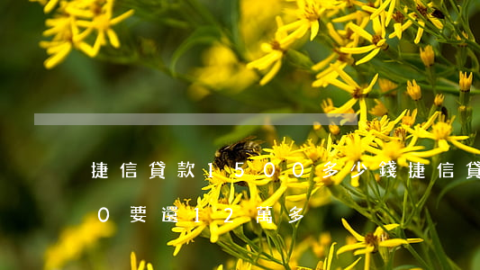 捷信貸款1500多少錢(捷信貸款65000要還12萬多)