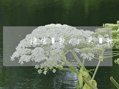 捷信貸款15天還款一次(捷信還款晚11天)