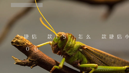 捷信貸款15萬怎么貸款(捷信小額貸款1500)