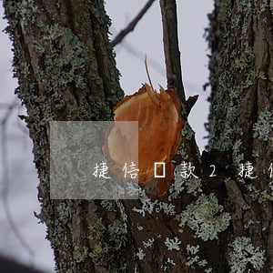 捷信貸款2,捷信貸款2萬塊12期利息多少 捷信貸款2,捷信貸款2萬塊12期利息多少