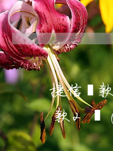 捷信貸款2萬(wàn)怎么算利息(捷信貸款2萬(wàn)利息是多少)