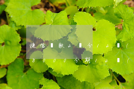 捷信貸款2萬分12個(gè)月(捷信貸款8000分期12個(gè)月要還多少)