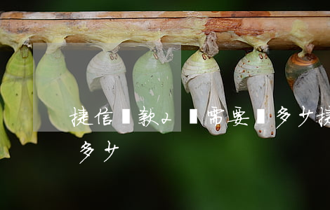 捷信貸款2萬需要還多少(捷信貸款五萬要還多少)