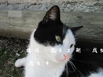 捷信貸款32期變成54(捷信貸款32期變成54)
