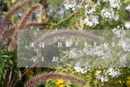 捷信貸款3499分8期(捷信貸款3499分8期)