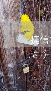 捷信貸款3萬卻沒有放款(捷信貸款三個(gè)月沒還會(huì)怎么樣)