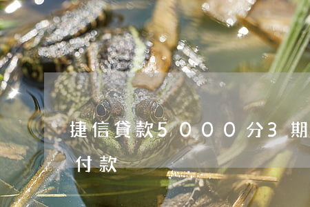 捷信貸款5000分3期(捷信貸款五萬分期付款)