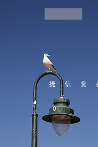 捷信貸款500多久到賬(捷信小額貸款500)