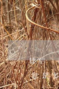 捷信貸款54期還款多少(捷信5萬54期利息是多少)