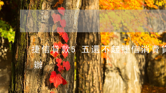 捷信貸款5五還不起(捷信消費貸無力還怎么辦)